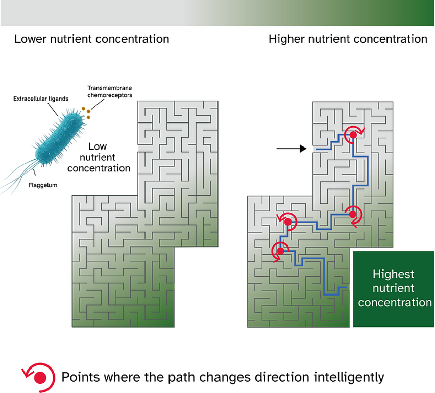 Нужна ли сознательность ИИ для заботы?