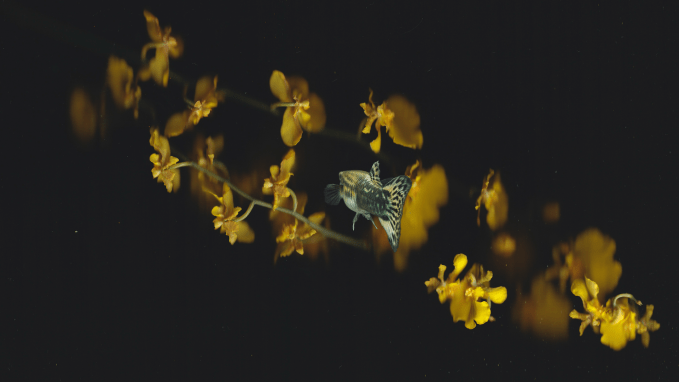 ИИ для инди-режиссеров: быстрее, дешевле, но в одиночку